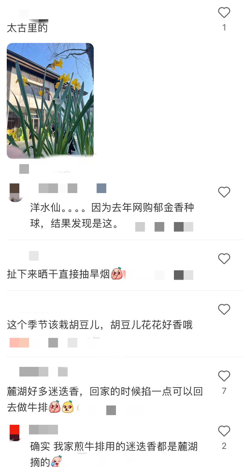 成都绿化带种烟草？专家揭秘真实身份！(图2)